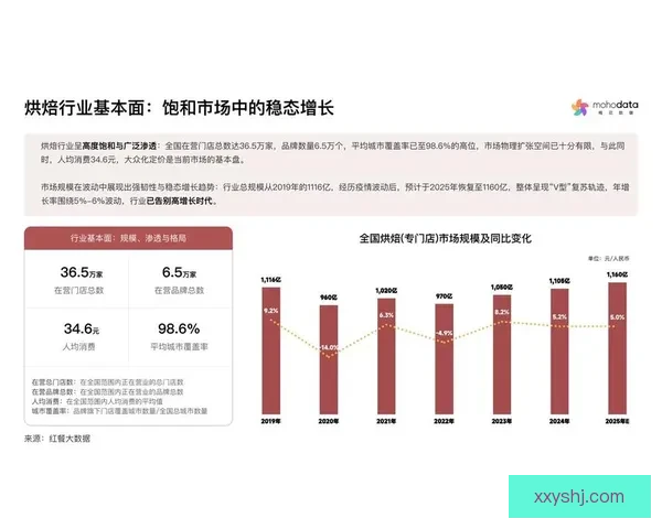 以12月VS5为中心的市场洞察与趋势对比深度分析报告展望未来