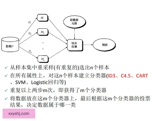 从对抗视角剖析VS破绽的形成机制与应对策略全解及实战启示方法